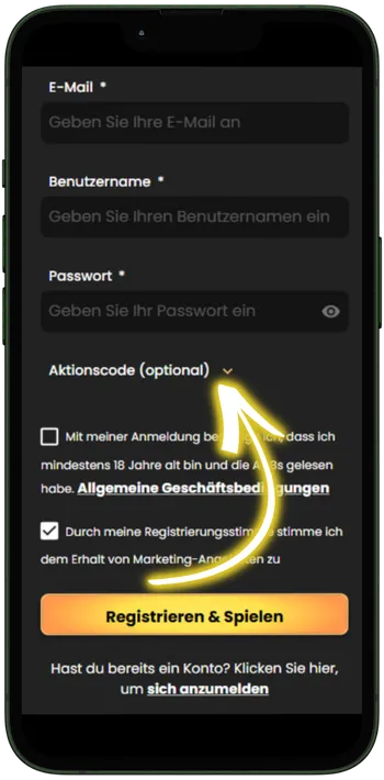 WSM Casino E-Mail, Passwort und Aktionscode eingeben